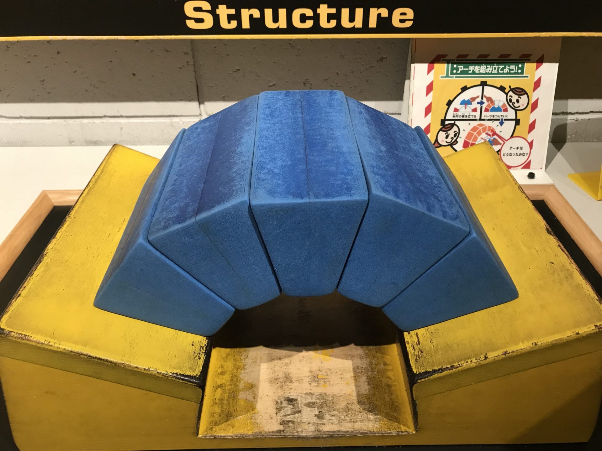 土踏まずの構造2